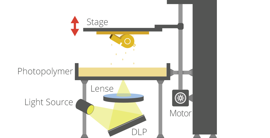 dlp1